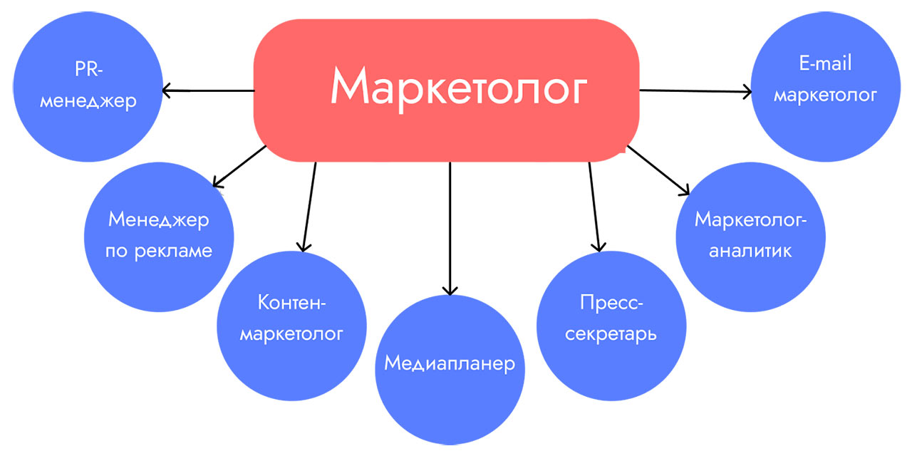 7 профессий после обучения на факультете маркетинга