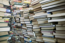 Директор школы №1 г. Костромы купит недостающие учебники сам